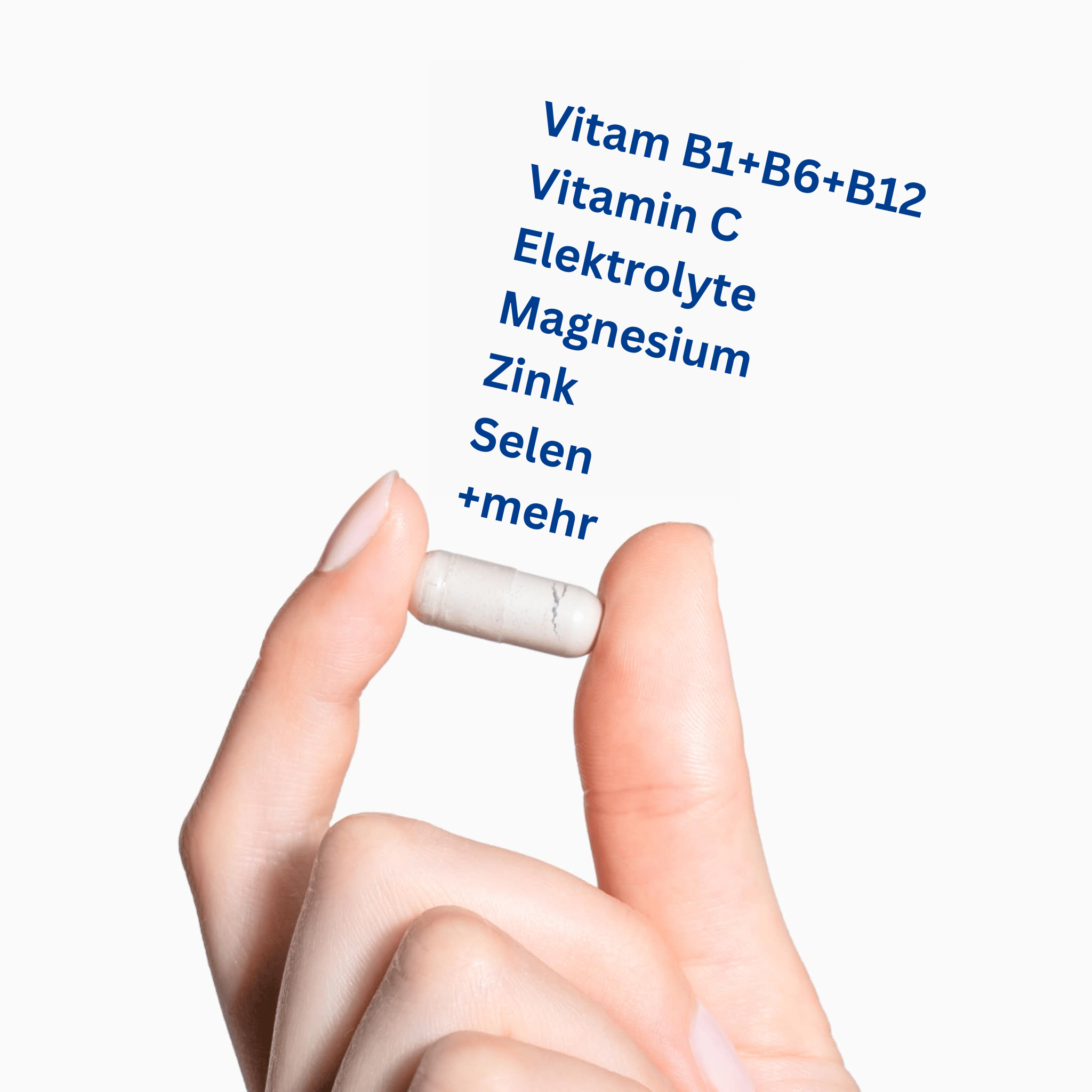 Party Supplement